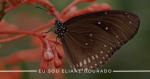 O Que Te Impede de Avançar? Descubra o Poder da Permissão!